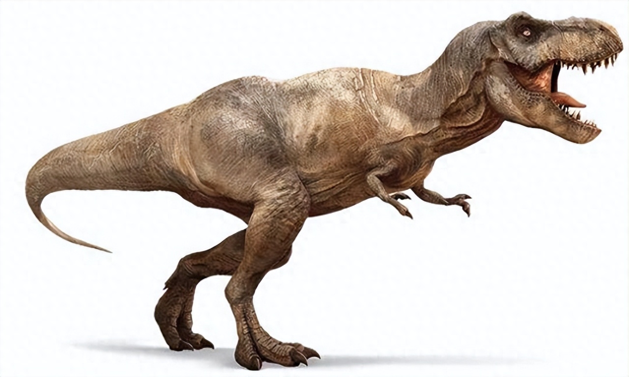 最大的恐龙是什么龙（盘点史上体型最大的恐龙种类）