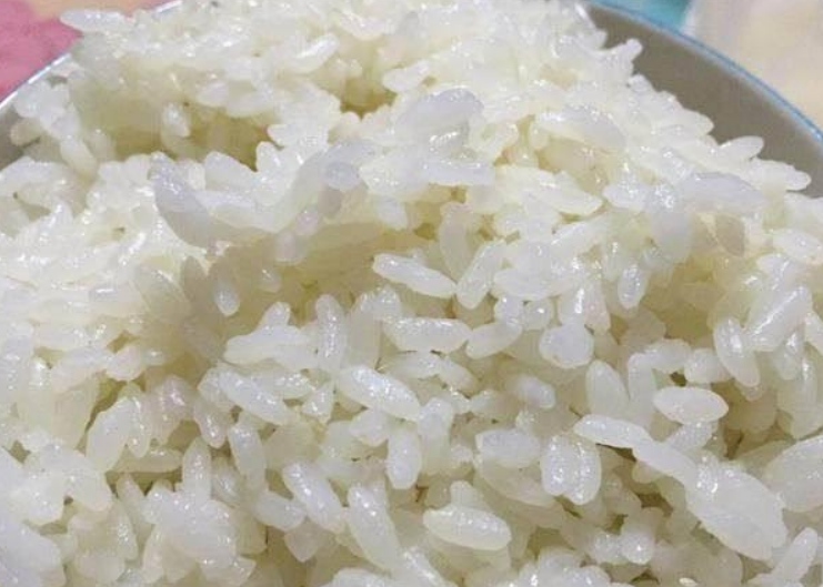 蒸熟的米饭冷冻可以保存多久（米饭冷冻了6天可以吃吗）