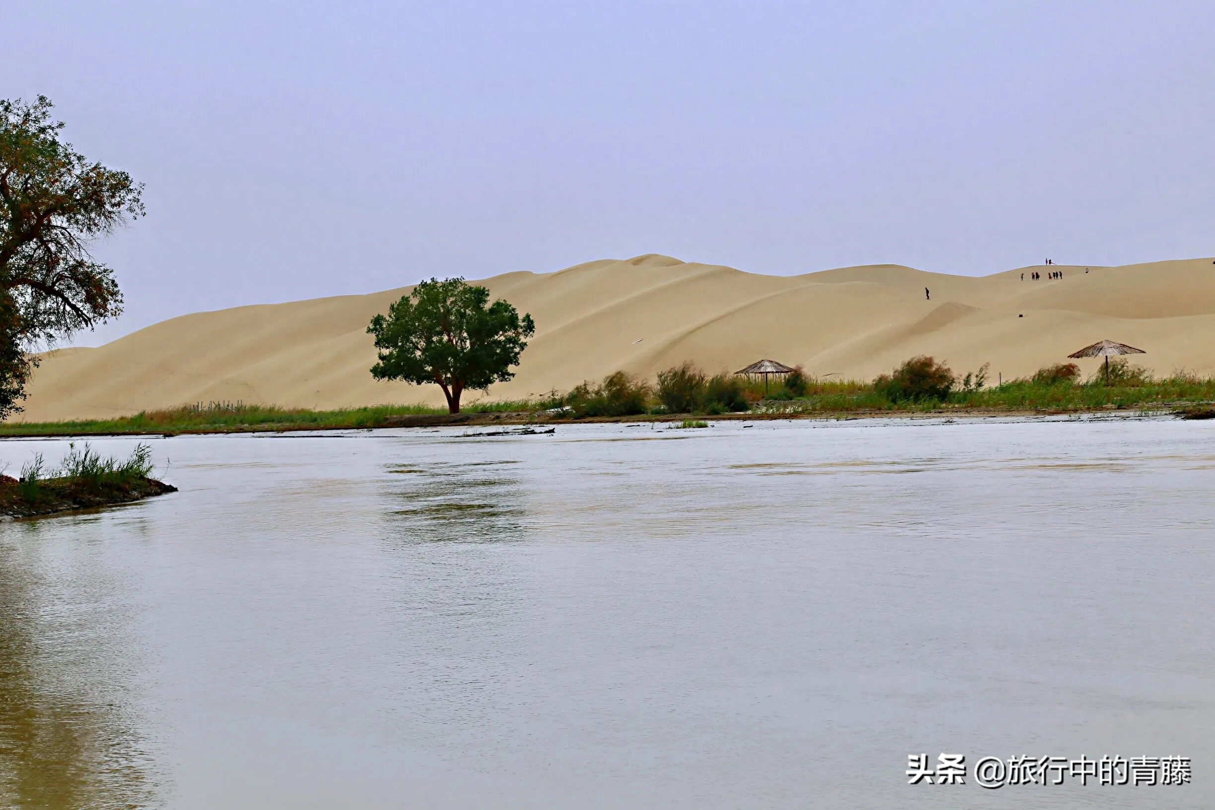 我国最大的内流河是什么河（塔里木河全长2137千米）
